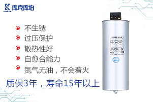 自愈式電力電容器 自愈式電力電容器