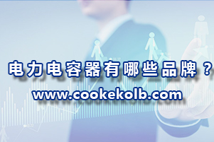 電力電容器有哪些品牌？