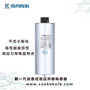 新一代自愈式低壓并聯電容器的產品技術特點是什么？