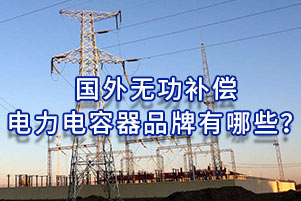 國外無功補償電力電容器品牌有哪些？