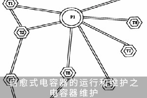 自愈式電容器的運行和維護(hù)之電容器維護(hù)