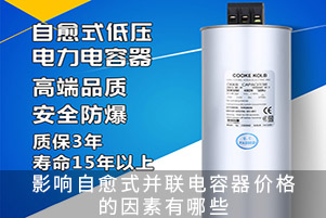 影響自愈式并聯(lián)電容器價(jià)格的因素有哪些