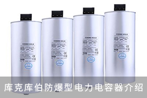 庫(kù)克庫(kù)伯防爆型電力電容器介紹