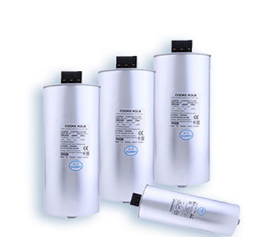 濾波型電力電容器