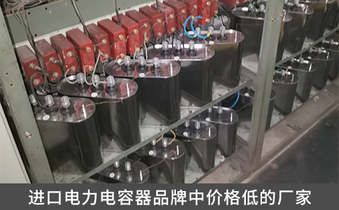 進(jìn)口電力電容器品牌中價(jià)格低的廠家