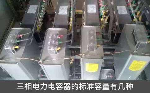 三相電力電容器的標(biāo)準(zhǔn)容量有幾種