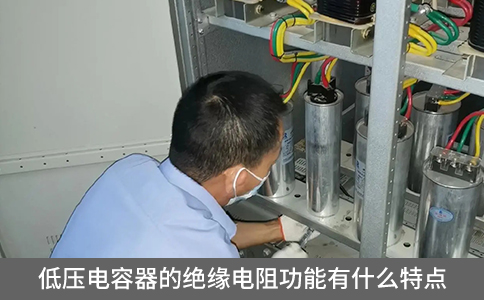 低壓電容器的絕緣電阻功能有什么特點