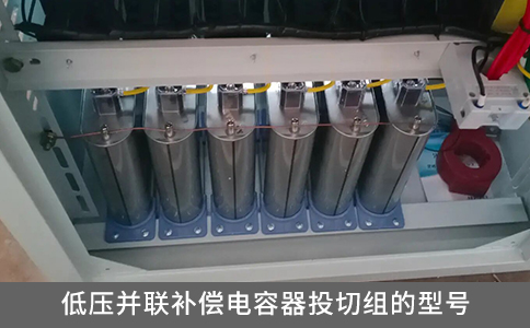低壓并聯補償電容器投切組的型號
