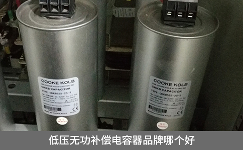低壓無功補償電容器品牌哪個好