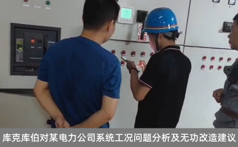 庫克庫伯對某電力公司系統工況問題分析及無功改造建議