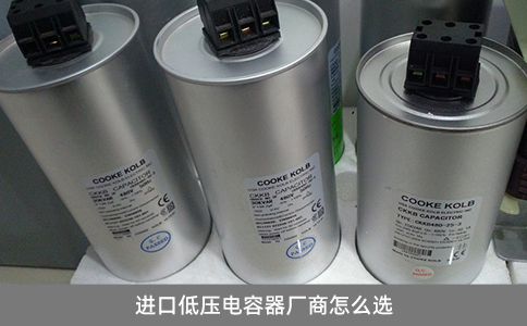 進口低壓電容器廠商怎么選
