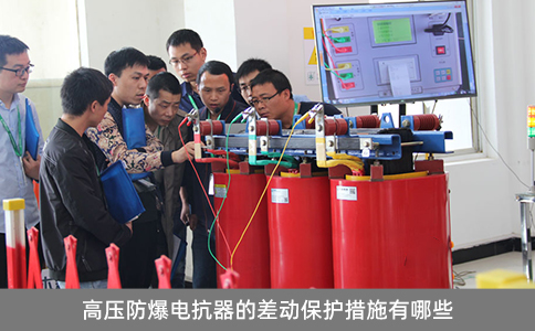 高壓防爆電抗器的差動保護措施有哪些