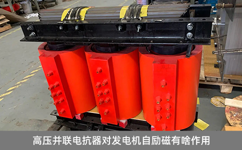 高壓并聯(lián)電抗器對發(fā)電機自勵磁有啥作用