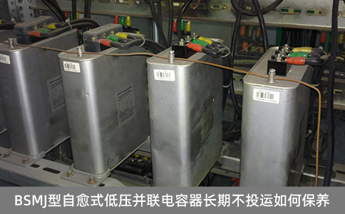 BSMJ型自愈式低壓并聯(lián)電容器長期不投運如何保養(yǎng)