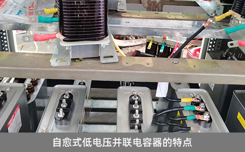 自愈式低電壓并聯電容器的特點