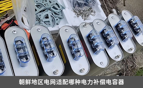 朝鮮地區電網適配哪種電力補償電容器